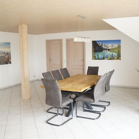 Ferienwohnungen Zur Elz - Traumhafte 160 Qm Wohnung Mit Pool Und Garten Naehe Des Europaparks Kappel-Grafenhausen Exterior photo