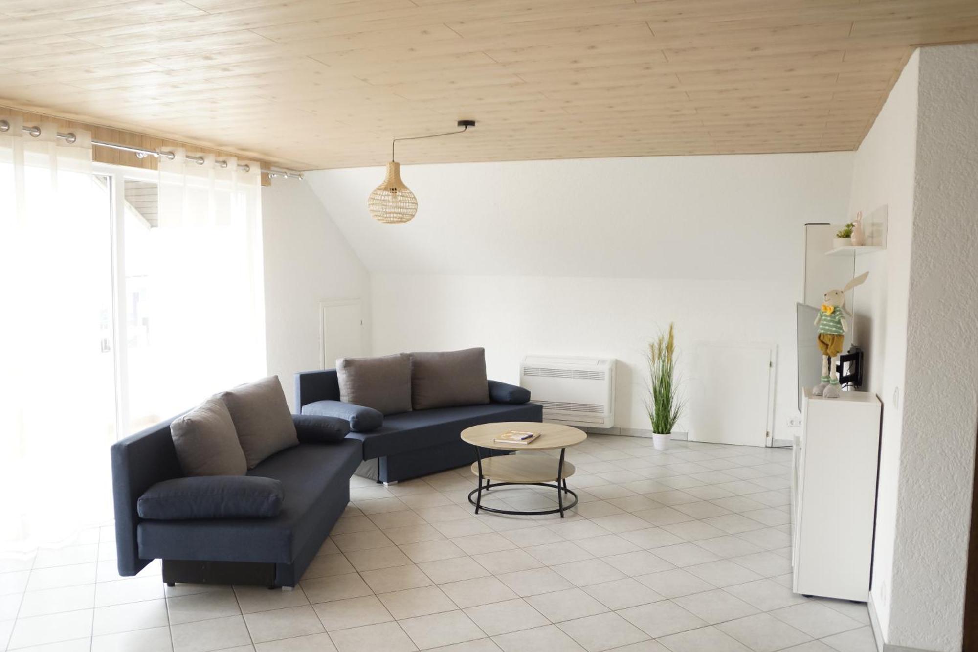 Ferienwohnungen Zur Elz - Traumhafte 160 Qm Wohnung Mit Pool Und Garten Naehe Des Europaparks Kappel-Grafenhausen Exterior photo